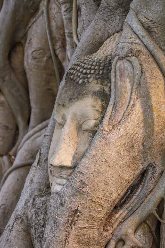 梦见人头蛇身，探索梦境中的神秘象征与深层含义