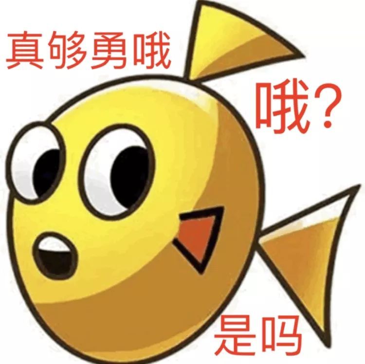 经典qq头像表情包