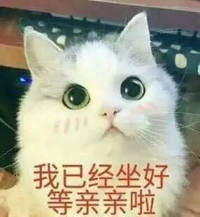 好玩的表情包萌宠一组很可爱化了