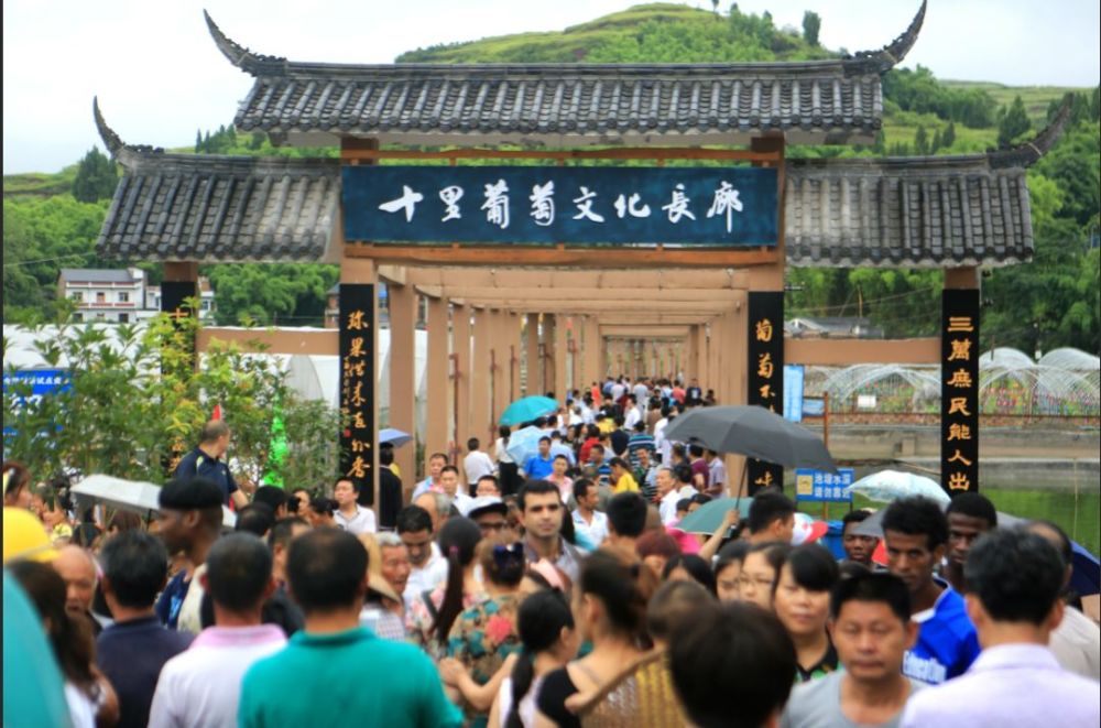 大足石刻之源,五彩田园之乡,这个镇是你的家乡吗?