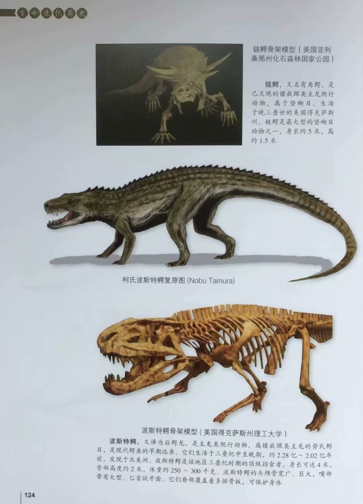 地球生物发展史上是生存环境大剧变生物大灭绝促成了