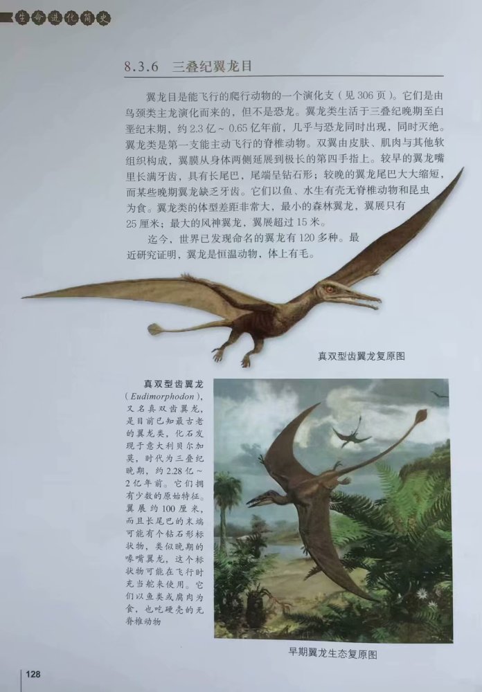 地球生物发展史上是生存环境大剧变生物大灭绝促成了