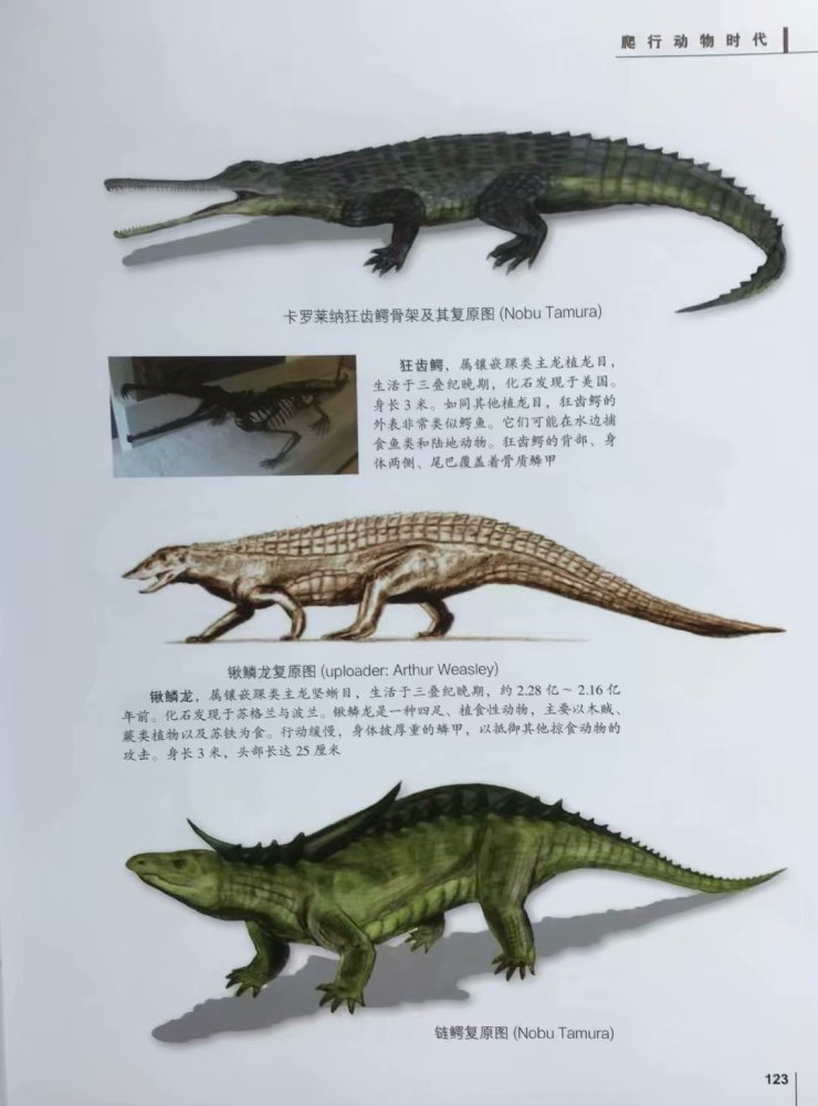 地球生物发展史上是生存环境大剧变生物大灭绝促成了