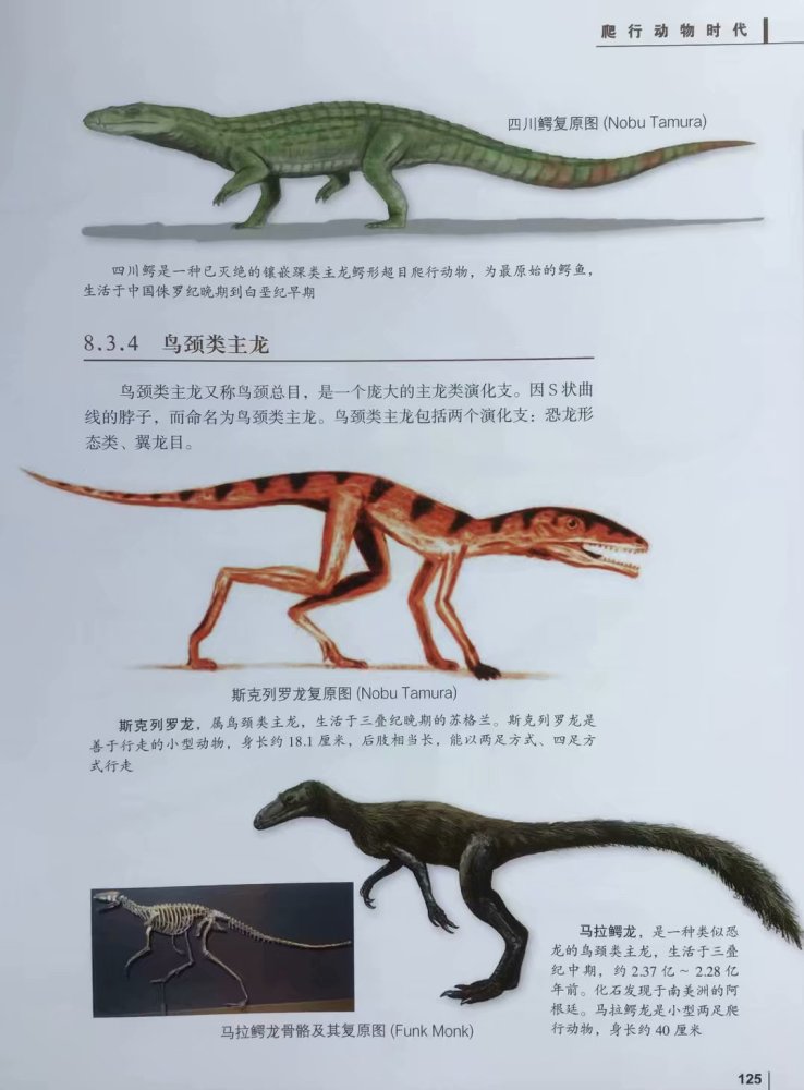地球生物发展史上是生存环境大剧变生物大灭绝促成了