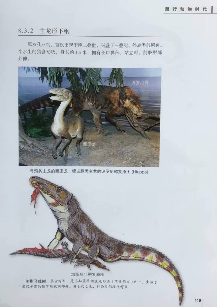地球生物发展史上是生存环境大剧变生物大灭绝促成了