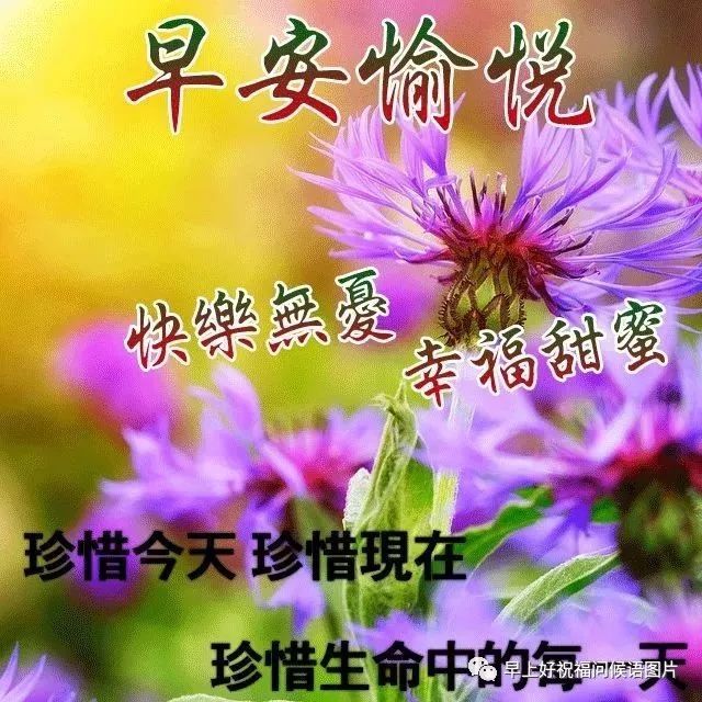 早上好问候图片带字动态表情 早上好图片问候祝福语
