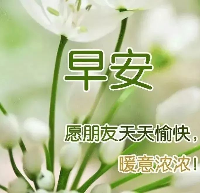 8月14日很漂亮的早安表情问候祝福语图片早上好短信问候祝福语