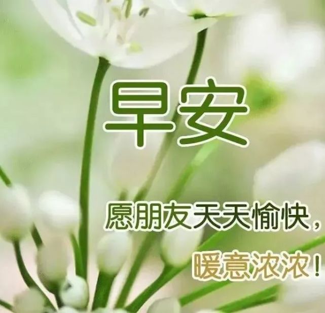8月14日很漂亮的早安表情问候祝福语图片,早上好短信