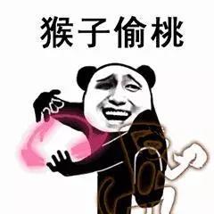 熊猫头表情包会耍功夫的你遭得住吗