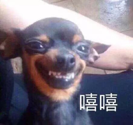 爆笑表情包,我乖巧的微笑着