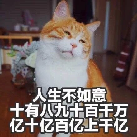 猫咪表情包,分分钟笑成猪叫