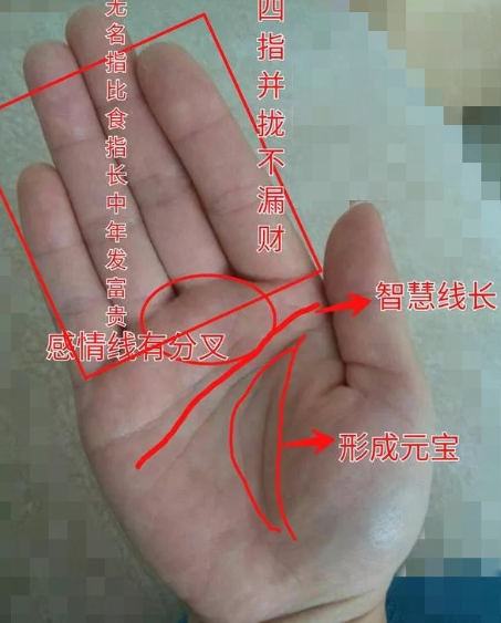 手相中事业线(元宝纹),手掌生命线与事业线形成小元宝纹,属于聚财的