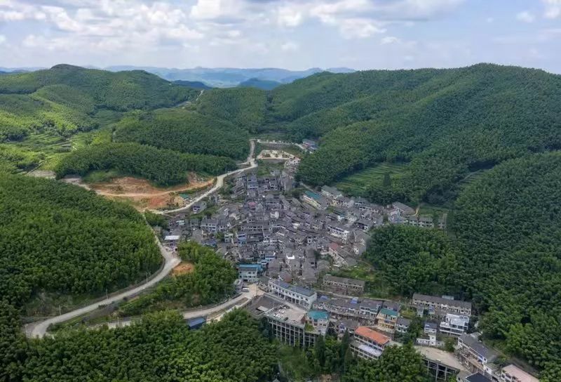 海曙区横街镇惠民村"创意点亮乡村"特别系列