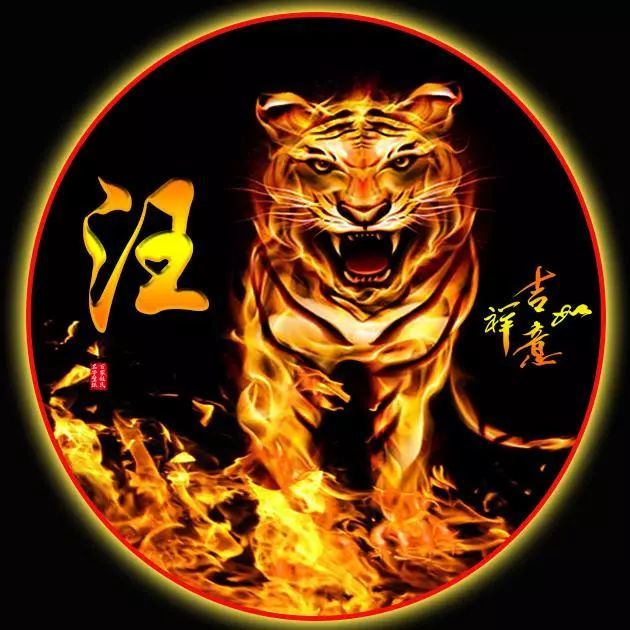 110张极品姓氏头像,有领头狼,霸气火焰虎,飞龙,雄鹰,天马,各种风格