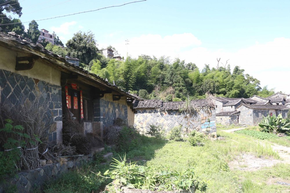 铁观音"王说"发源地—安溪县西坪镇尧山村