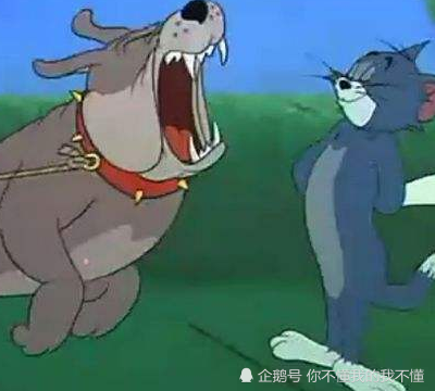 猫和老鼠都有名字那只狗叫什么网友太简单了