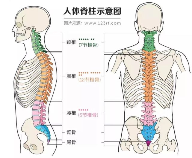 颈椎腰椎问题已提前到来