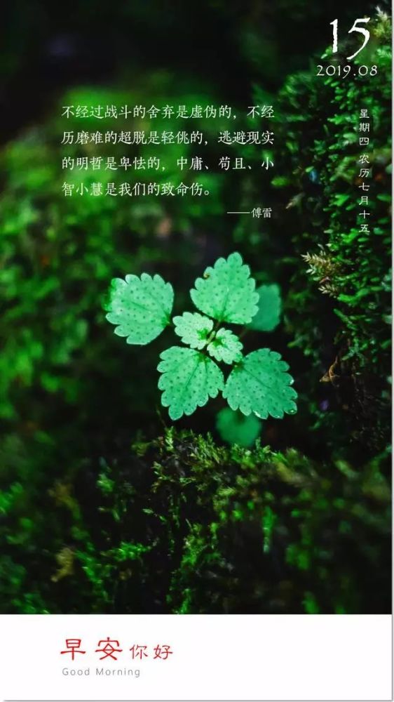 不经过战斗的舍弃是虚伪的,不经历磨难的超脱是轻佻的, 逃避现实的