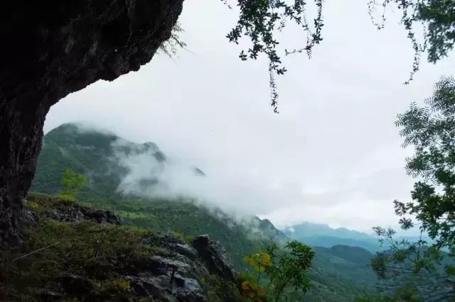 清远有个"悬崖村?常年云雾萦绕,就在海拔800多米的深山中!