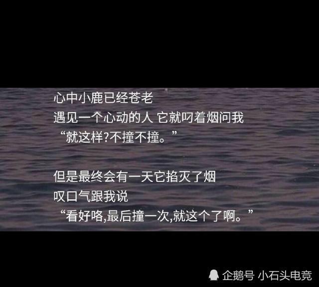 "他还要路过四月桃林,一顾人间惊鸿,领略四季更迭,最后带着一身干净