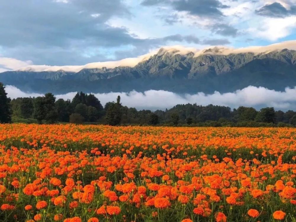 心灵故乡·花海腾冲之——界头乡村游的五个词