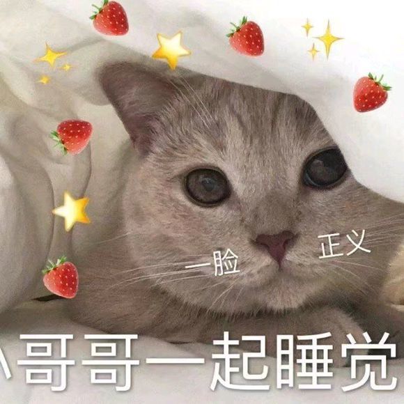 可爱动物搞笑表情包人家就想粘着你