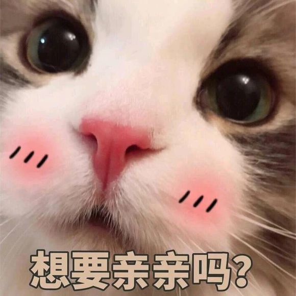 可爱猫咪搞笑表情包:你想要亲亲吗!