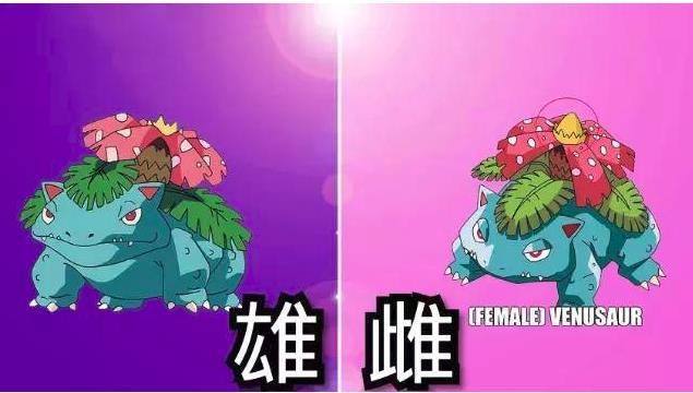 宝可梦怎么辨别雌雄皮卡丘看尾巴看到妙蛙花我瞎了