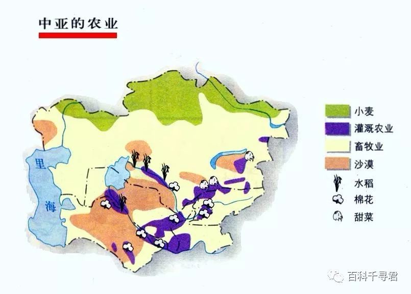 中亚地区三大湖泊为何咸海都快消失了而其他两个没事