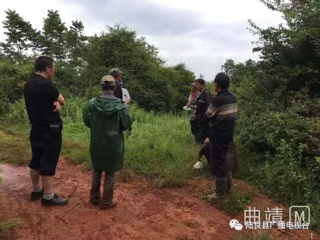 8月9日,陆良县板桥镇大桥村64岁的村民陈忠萍意外走失.