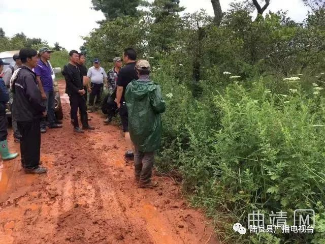 8月9日,陆良县板桥镇大桥村64岁的村民陈忠萍意外走失.