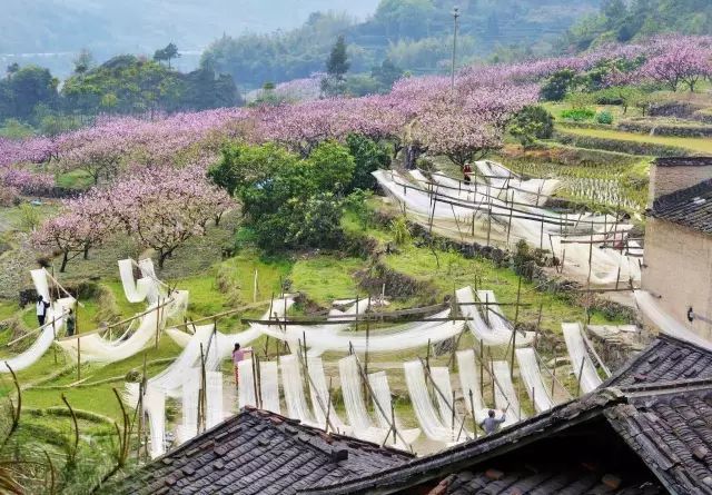 福安市穆阳镇苏堤村(线面)