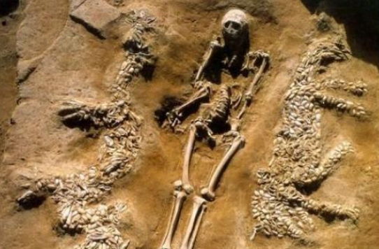 古墓中挖出一条"真龙",考古专家表示:龙是真实存在的