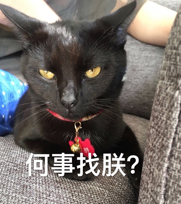 黑喵警长表情包,好了今天你们吸爽没