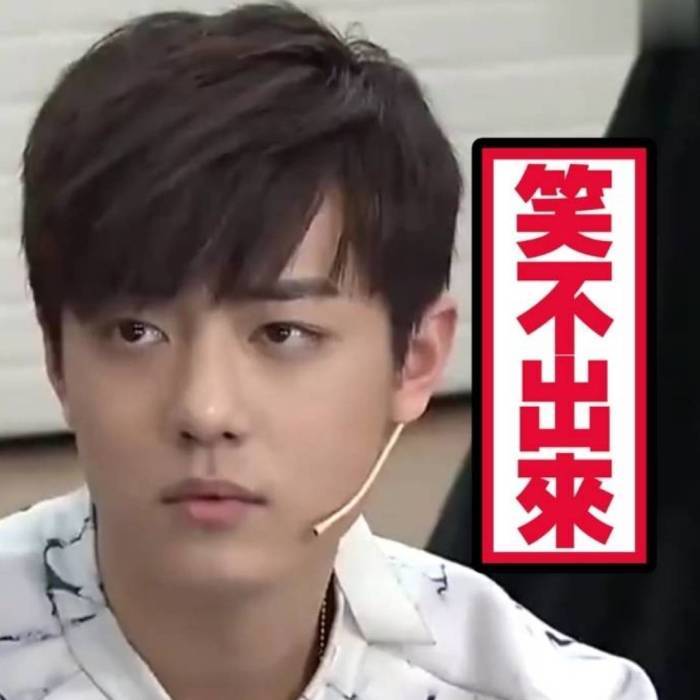 肖战搞笑表情包:你的