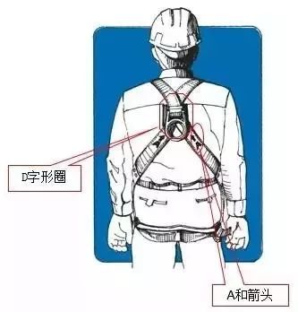 安全带断裂员工坠亡安全带究竟该怎么正确使用何时报废