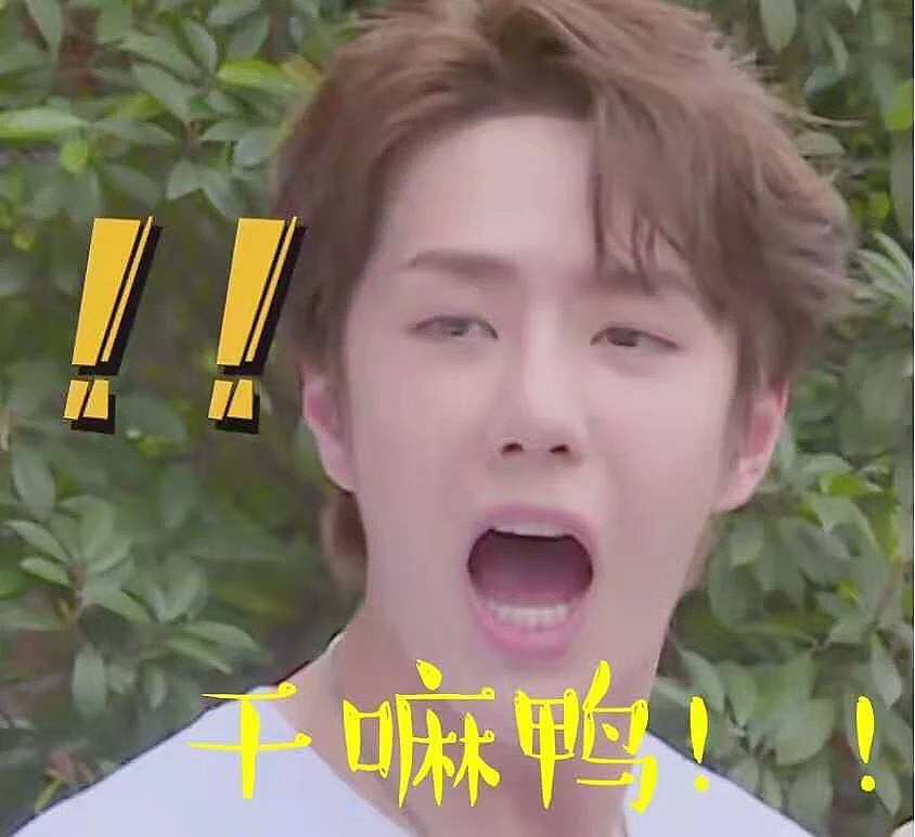 肖战—魏无羡, 蓝湛—王一博 表情包大合集,道友快收藏带回家