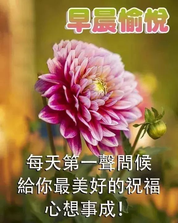 最新版漂亮早安问候语图片表情带字早安清晨短信问候祝福语