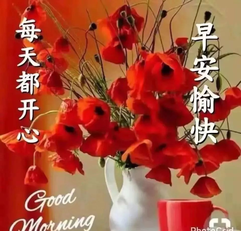 微信朋友圈早晨好温馨幸福的慰问语,励志早安问候表情