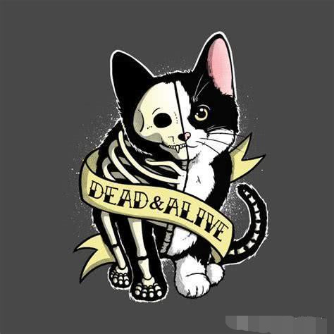 薛定谔的猫到底是什么