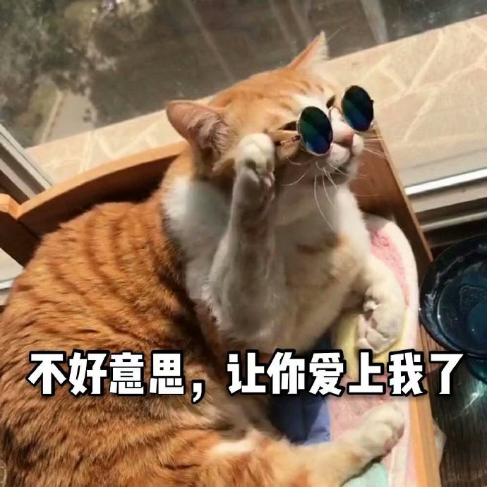 猫咪表情包,每十秒想你一次