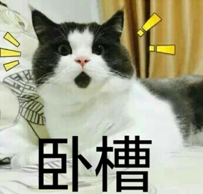 萌贱猫咪喵星人表情包,收藏