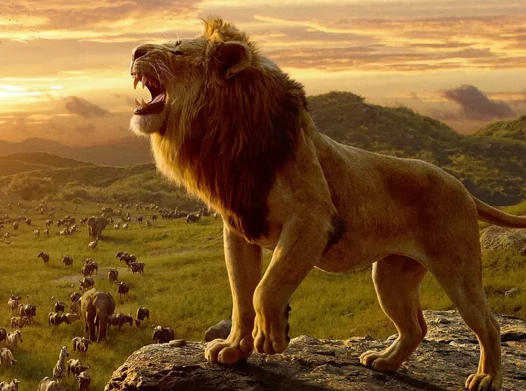 真人版《狮子王》,全球票房93亿,为何国内市场如此掉价?
