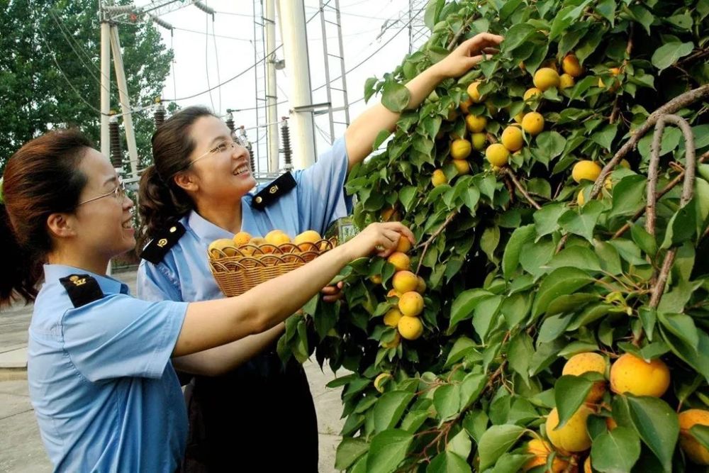 文明花开分外香