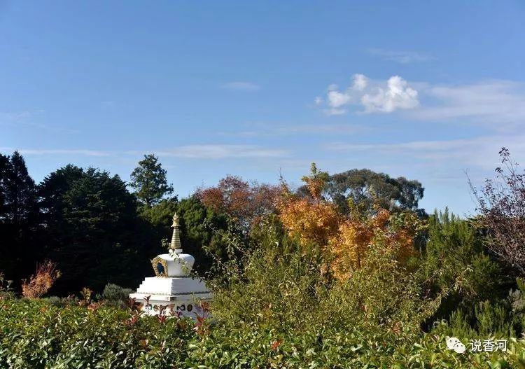 香河二中一位老校长澳洲游记之十一