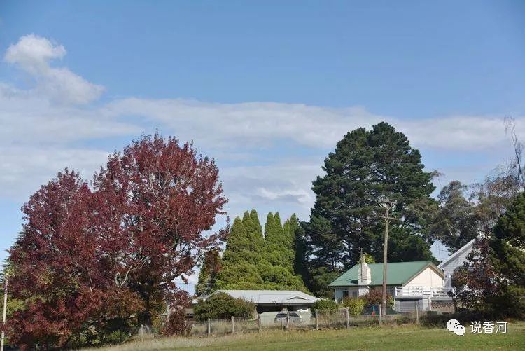 香河二中一位老校长澳洲游记之十一