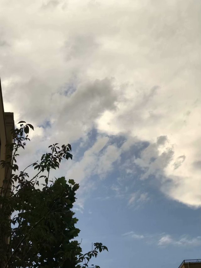 雨做的云明清近作选