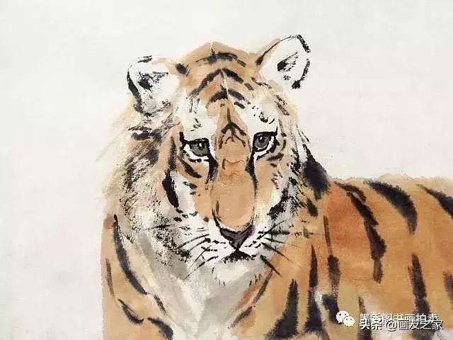 国画教程:写意老虎画法步骤,又学会一招