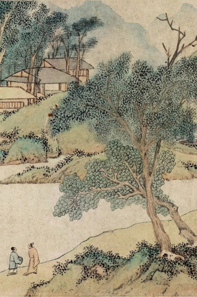 一棵苍劲的古藤|文征明|古藤|苏州|唐寅|书法