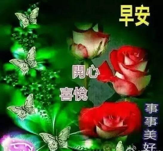 清晨阳光漂亮的早上好问候语早安祝福语,最新早安温馨